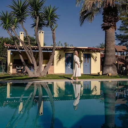 Elmar Villa *