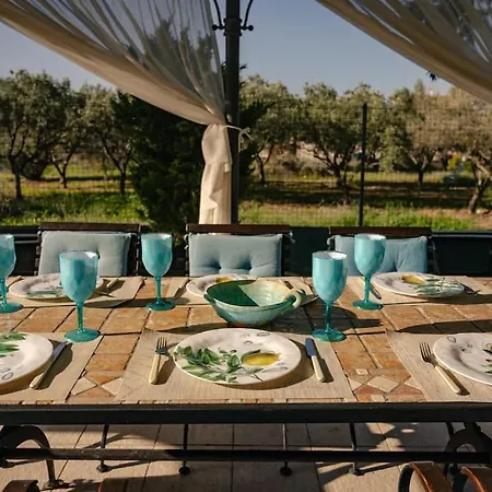 Villa Elmar Aegina